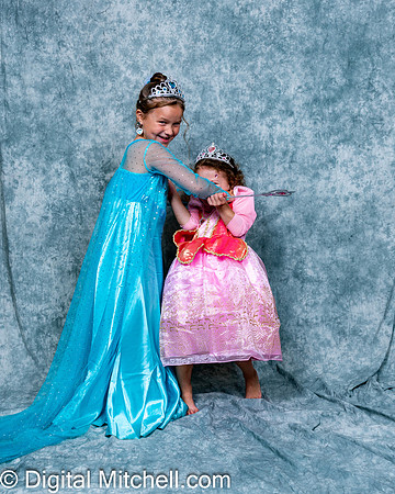 428-CHS Cheer 2026 Princess Evening