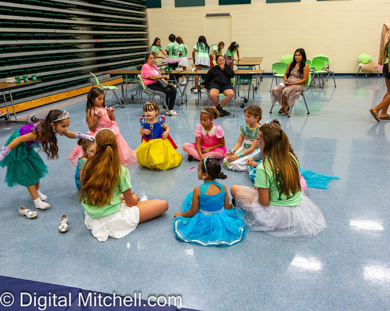 446-CHS Cheer 2026 Princess Evening