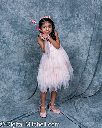 376-CHS Cheer 2026 Princess Evening