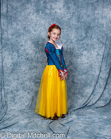 367-CHS Cheer 2026 Princess Evening