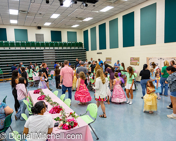 53-CHS Cheer 2026 Princess Evening