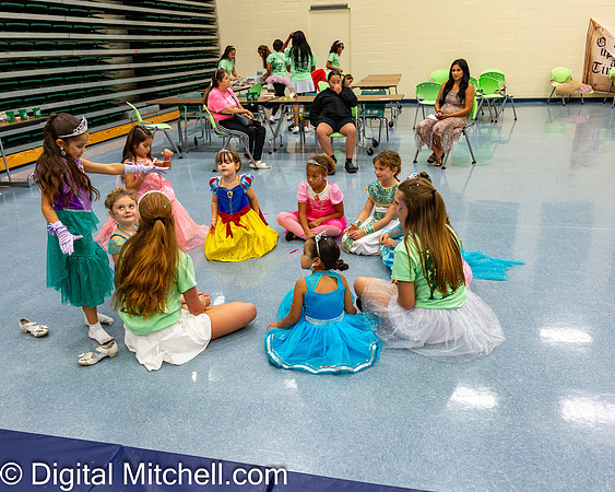 447-CHS Cheer 2026 Princess Evening