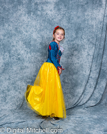369-CHS Cheer 2026 Princess Evening