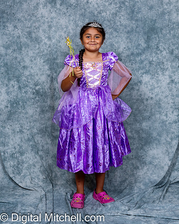 252-CHS Cheer 2026 Princess Evening