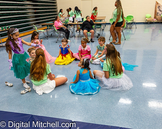 448-CHS Cheer 2026 Princess Evening