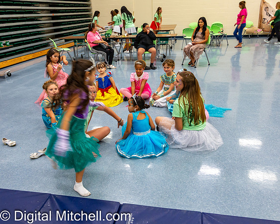 449-CHS Cheer 2026 Princess Evening
