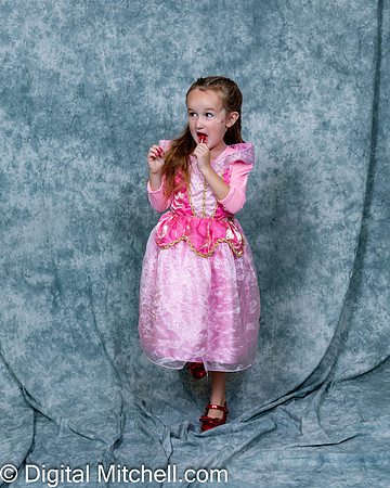 227-CHS Cheer 2026 Princess Evening