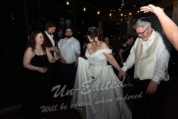1251-Wedding