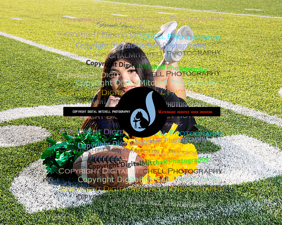 299-NHS 2024 Fall