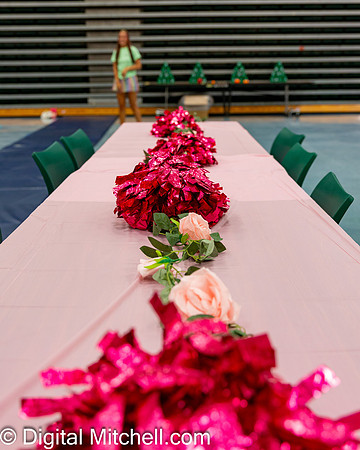 10-CHS Cheer 2026 Princess Evening