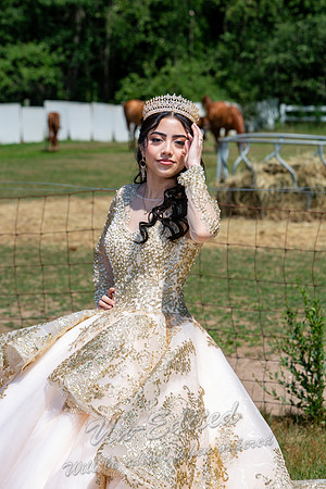 206-Quinceanera-Kim