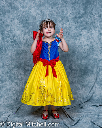 390-CHS Cheer 2026 Princess Evening