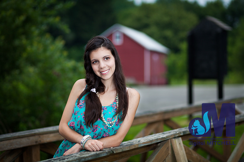 Photograph of model and barn