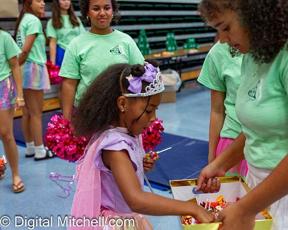 87-CHS Cheer 2026 Princess Evening