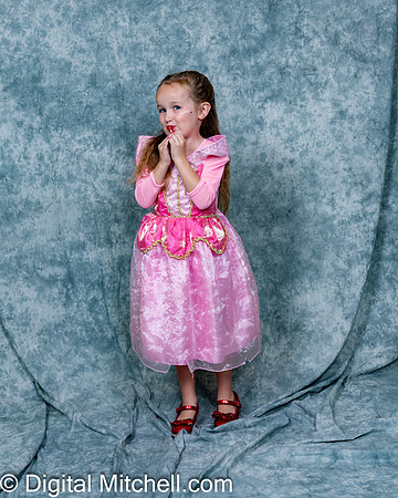 228-CHS Cheer 2026 Princess Evening