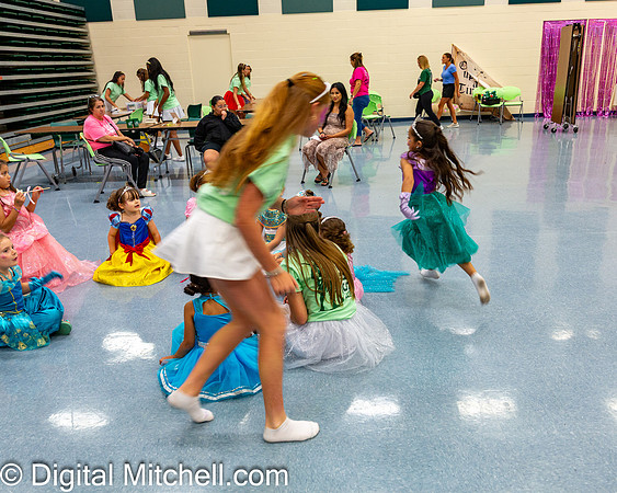 450-CHS Cheer 2026 Princess Evening