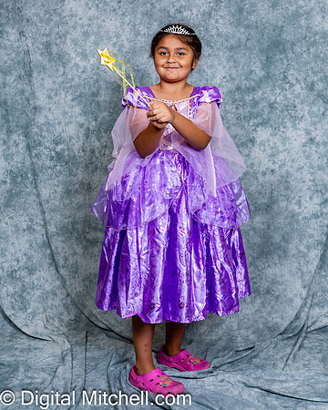 256-CHS Cheer 2026 Princess Evening