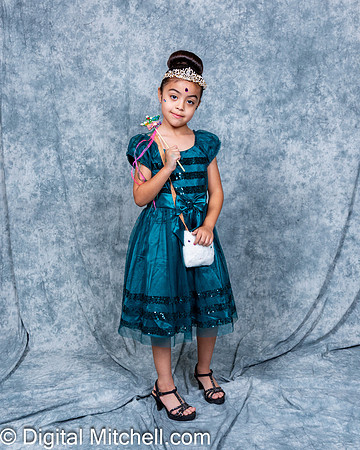 358-CHS Cheer 2026 Princess Evening