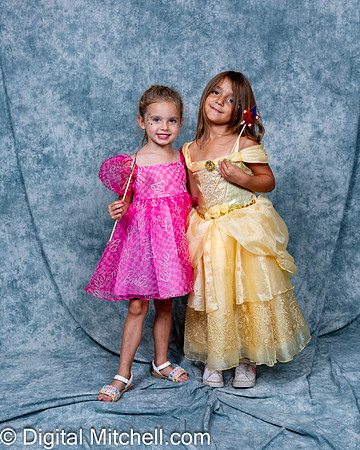 295-CHS Cheer 2026 Princess Evening