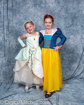 371-CHS Cheer 2026 Princess Evening