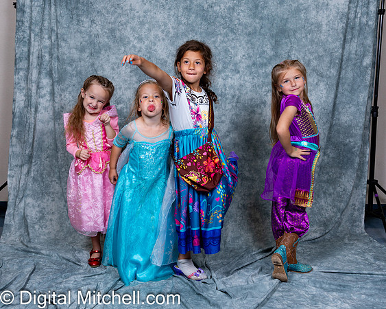 239-CHS Cheer 2026 Princess Evening
