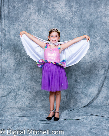 113-CHS Cheer 2026 Princess Evening