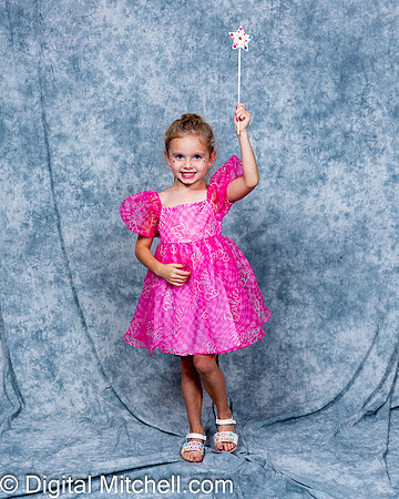 287-CHS Cheer 2026 Princess Evening