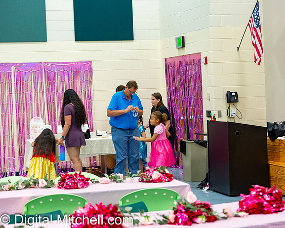 29-CHS Cheer 2026 Princess Evening