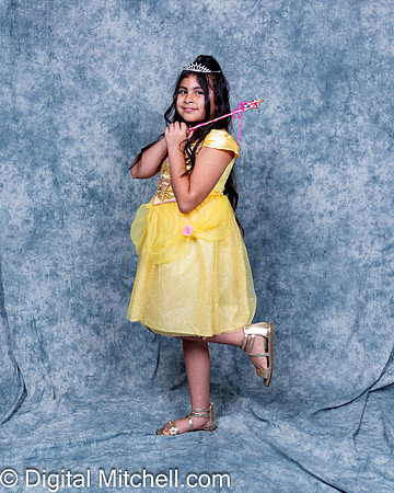 298-CHS Cheer 2026 Princess Evening
