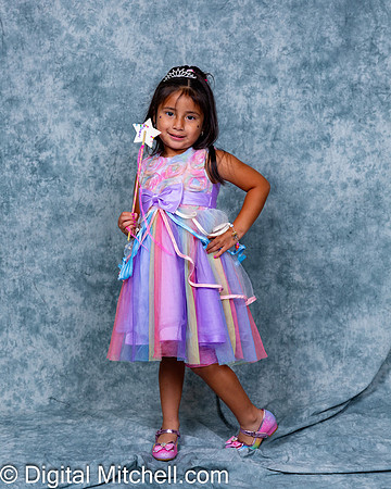 137-CHS Cheer 2026 Princess Evening