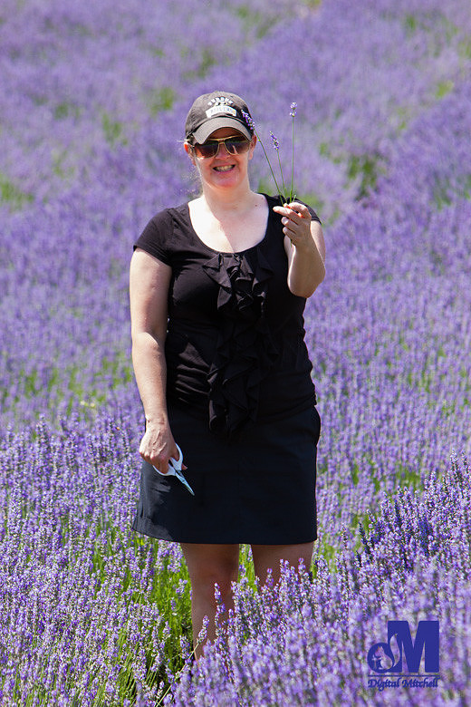photograph Dawn holding purple lavender flowers