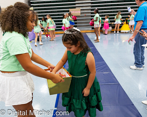 82-CHS Cheer 2026 Princess Evening