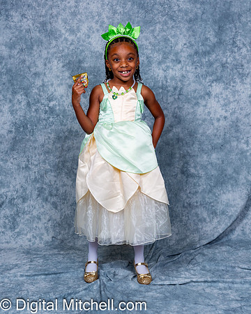 120-CHS Cheer 2026 Princess Evening