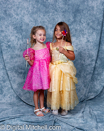 292-CHS Cheer 2026 Princess Evening