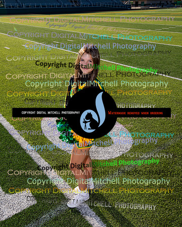 511-NHS 2024 Fall