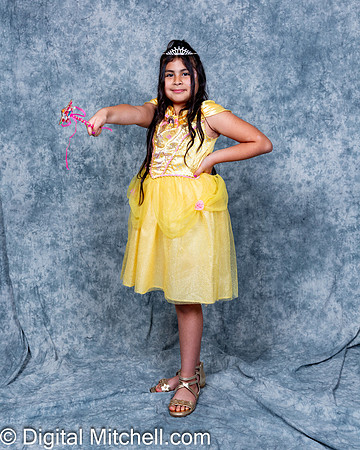 300-CHS Cheer 2026 Princess Evening