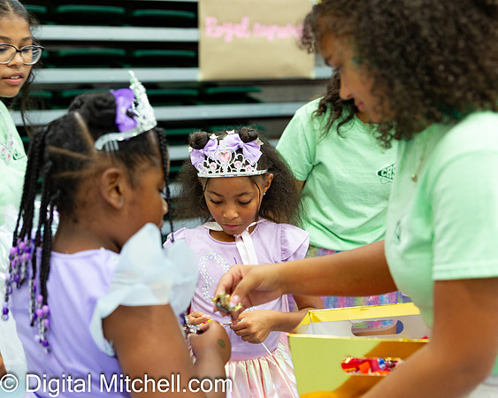 86-CHS Cheer 2026 Princess Evening