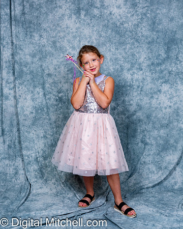 326-CHS Cheer 2026 Princess Evening