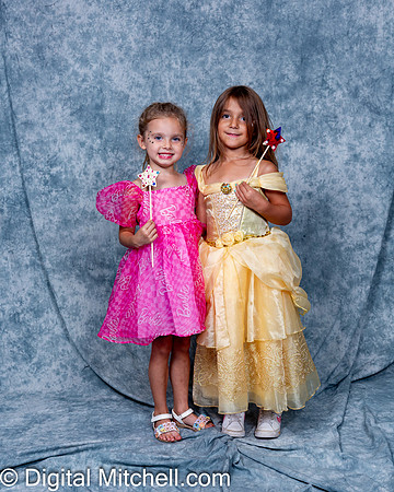 294-CHS Cheer 2026 Princess Evening