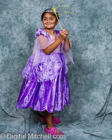 255-CHS Cheer 2026 Princess Evening