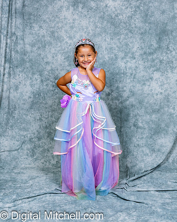 132-CHS Cheer 2026 Princess Evening