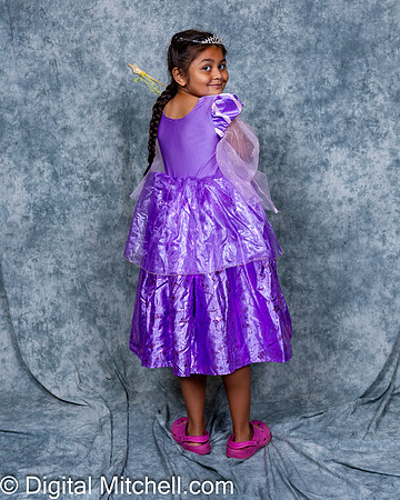 254-CHS Cheer 2026 Princess Evening