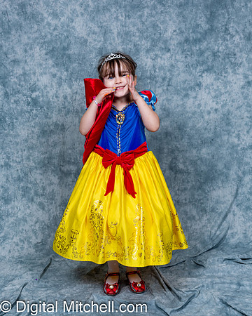 389-CHS Cheer 2026 Princess Evening