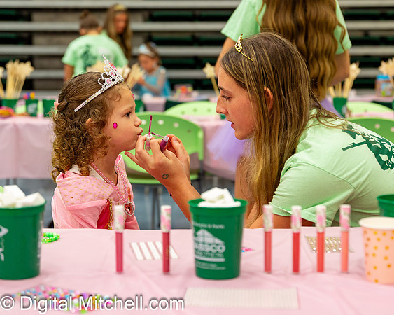 17-CHS Cheer 2026 Princess Evening