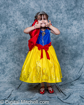 392-CHS Cheer 2026 Princess Evening