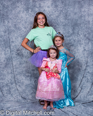 431-CHS Cheer 2026 Princess Evening