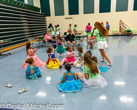 451-CHS Cheer 2026 Princess Evening