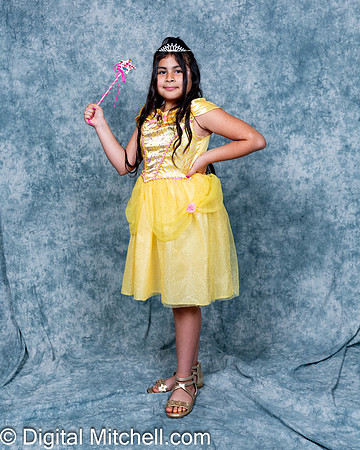299-CHS Cheer 2026 Princess Evening