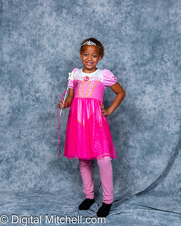 100-CHS Cheer 2026 Princess Evening