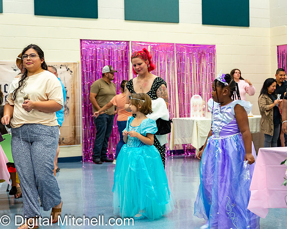 33-CHS Cheer 2026 Princess Evening